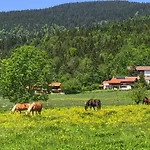 Chalet Chiemgau, *