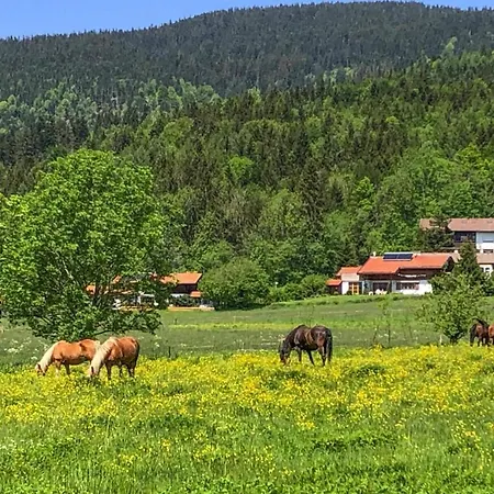 Chalet Chiemgau, *