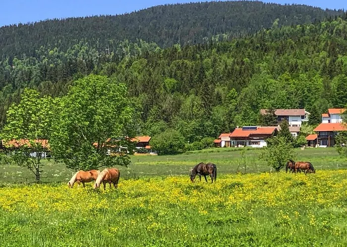 בקתה Chiemgau, *